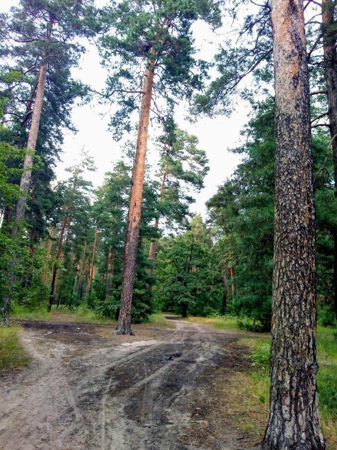 Guest House Kiev Forest Exterior foto